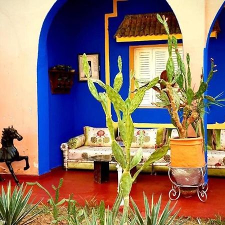 Riad Jasmine Sud Zagora Exterior photo