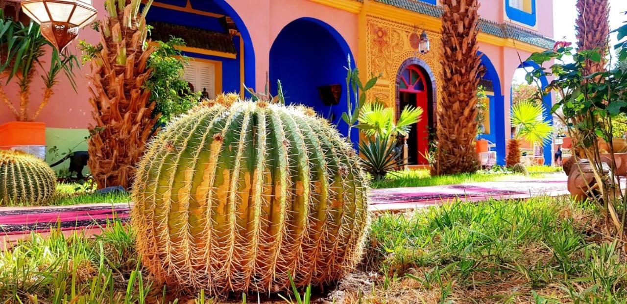 Riad Jasmine Sud Zagora Exterior photo