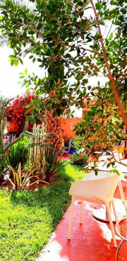 Riad Jasmine Sud Zagora Exterior photo